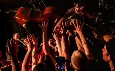 Svett og heftig, vi elsker Honningbarna!